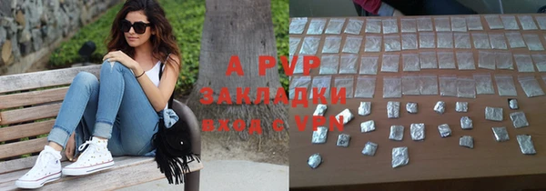 хмурый Нея