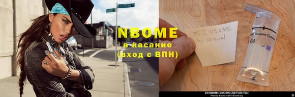 индика Нефтегорск