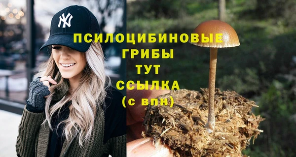кокаин Надым