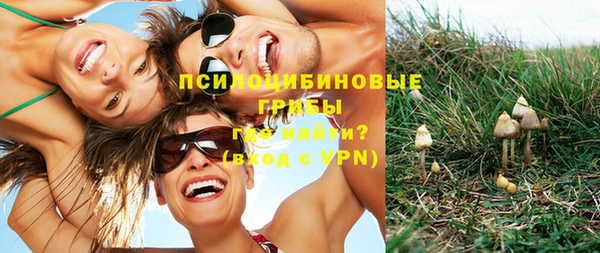 индика Нефтегорск