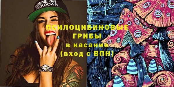 индика Нефтегорск