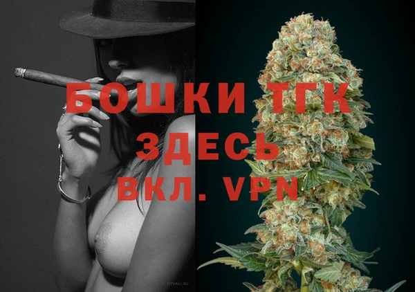 индика Нефтегорск