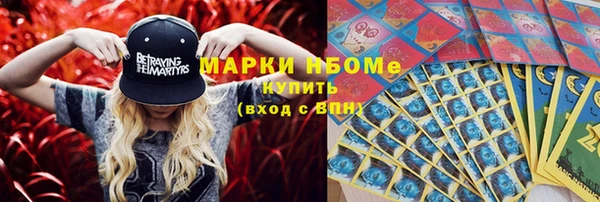 хмурый Нея