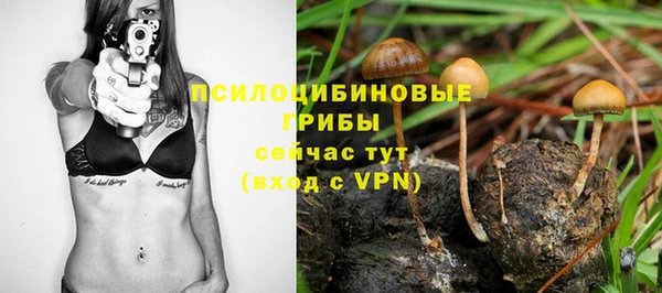 apvp Навашино