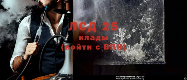 ПСИЛОЦИБИНОВЫЕ ГРИБЫ Бабаево